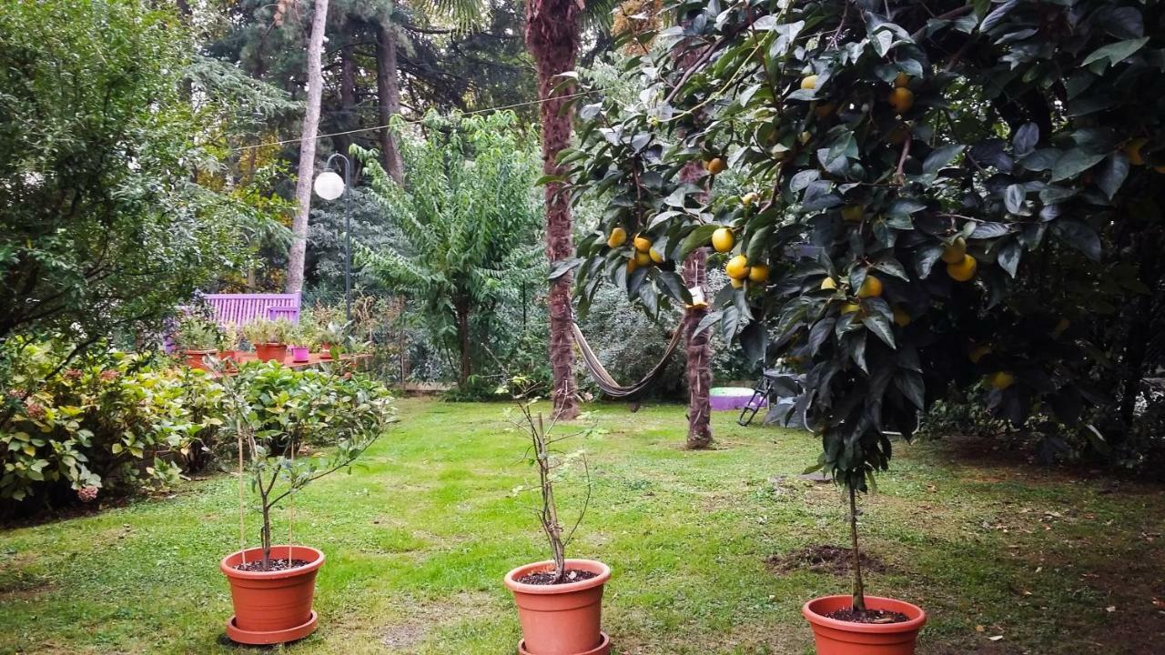 Adda River Casa Vacanza Calolziocorte Eksteriør billede